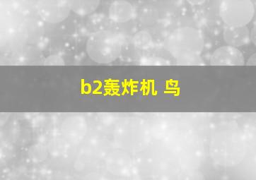 b2轰炸机 鸟